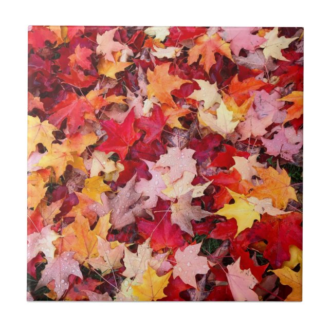 Colourful Autumn Leaves Ceramic Tile (Front)