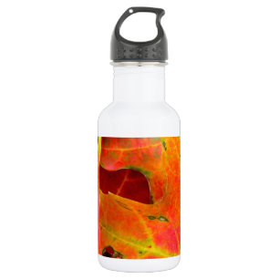 Colourful Autumn Leaves Close-up 532 Ml Water Bottle