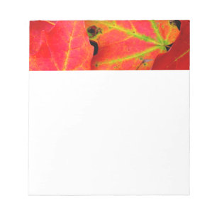 Colourful Autumn Leaves Close-up Notepad