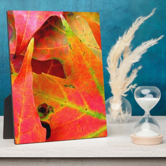 Colourful Autumn Leaves CloseUp Plaque (Side)