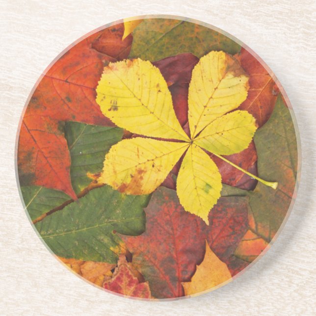 Colourful Autumn Leaves Coaster (Front)