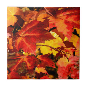 Colourful Autumn Leaves, gold red orange maple lea Ceramic Tile