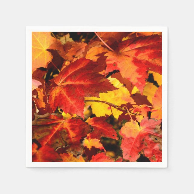Colourful Autumn Leaves, gold red orange maple lea Napkin (Front)