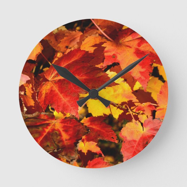 Colourful Autumn Leaves, gold red orange maple lea Round Clock (Front)
