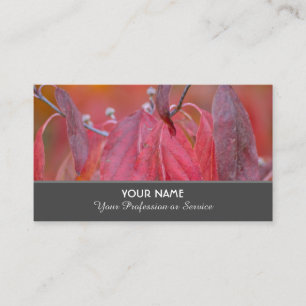 Colourful autumn leaves in fall mood business card