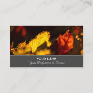 Colourful autumn leaves in golden sunset business card