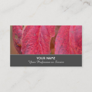 Colourful autumn leaves in indian summer business card