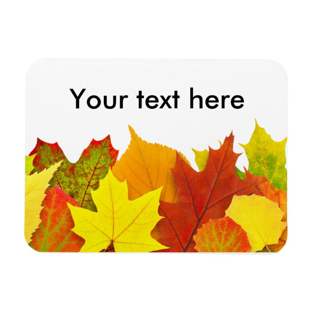 Colourful autumn leaves magnet (Horizontal)