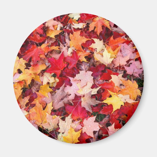 Colourful Autumn Leaves Magnet (Front)