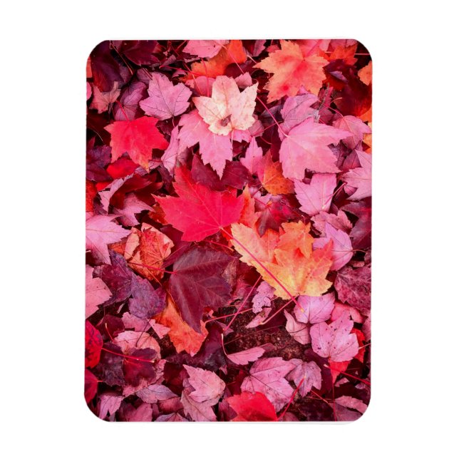 Colourful Autumn Leaves Magnet (Vertical)
