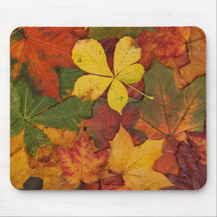 Colourful Autumn Leaves Mousepad