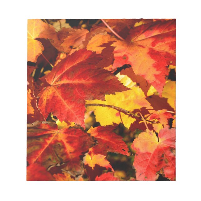 Colourful Autumn Leaves Notepad (Front)