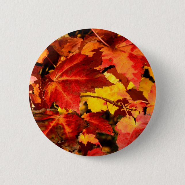 Colourful Autumn leaves orange red yellow colours 6 Cm Round Badge (Front)