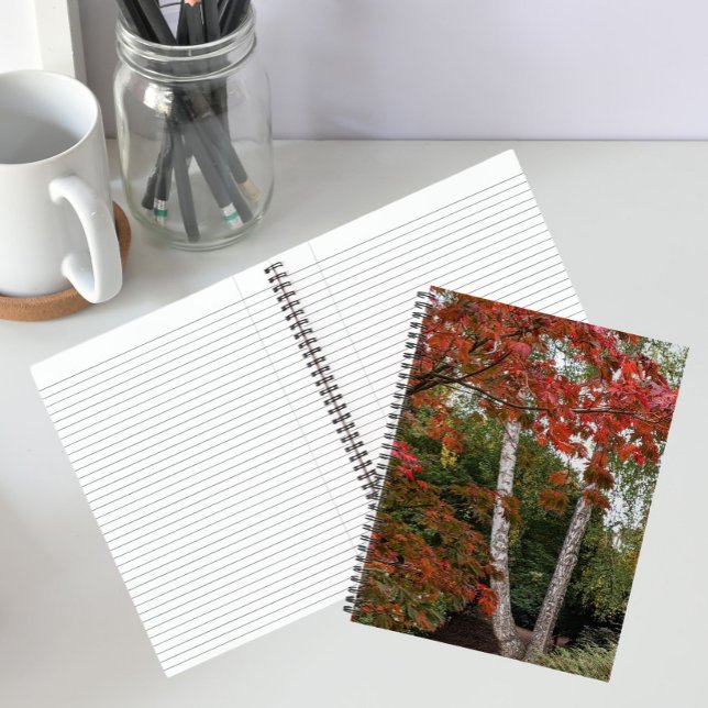 Colourful Autumn Leaves Photo Notebook (In Situ)