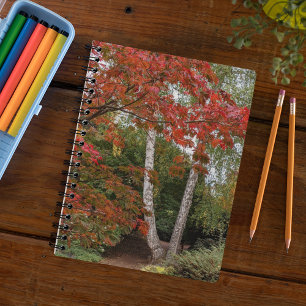 Colourful Autumn Leaves Photo Notebook