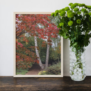 Colourful Autumn Leaves Photo Print