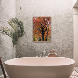 Colourful Autumn Leaves Photographic Photo Print