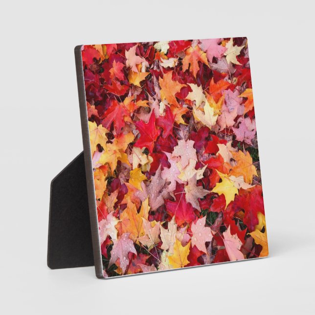 Colourful Autumn Leaves Plaque (Front)