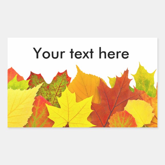 Colourful autumn leaves rectangular sticker (Front)