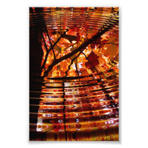Colourful Autumn Leaves Reflected in Water Photo Print