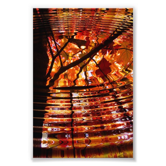 Colourful Autumn Leaves Reflected in Water Photo Print (Front)