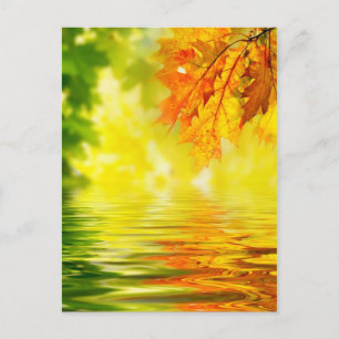 Colourful autumn leaves reflecting in the water postcard