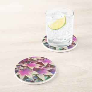 Colourful Autumn Maple Leaves Floral Coaster
