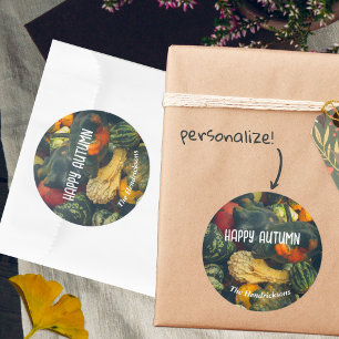  Colourful autumn squash and pumpkins Classic Round Sticker