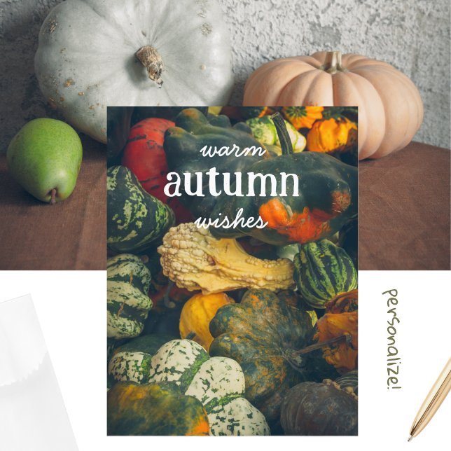  Colourful autumn squash and pumpkins Holiday Postcard (Creator Uploaded)