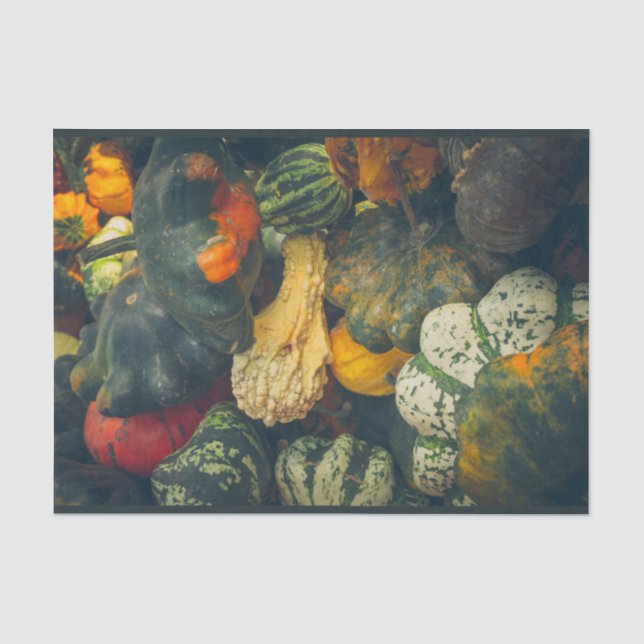  Colourful autumn squash and pumpkins Tissue Paper (Front)