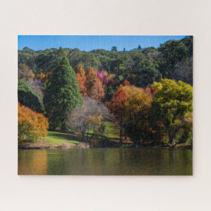 Colourful Autumn Tree Landscape, 520 Pieces Jigsaw Puzzle