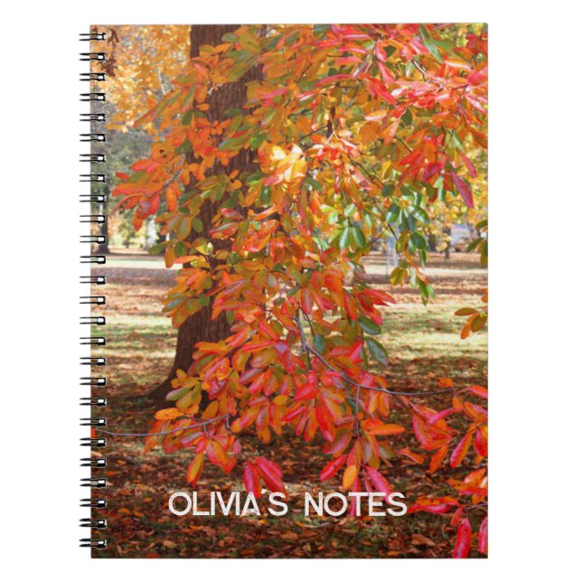 Colourful Autumn Tree Personalised Notebook (Front)