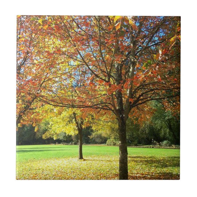 Colourful Autumn Trees Ceramic Tile (Front)