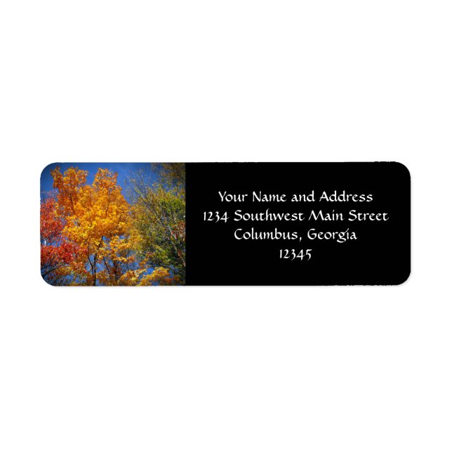 Colourful Autumn Trees Return Address Label (Front)