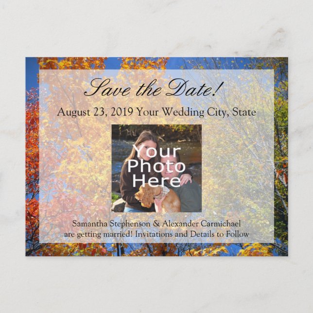 Colourful Autumn Trees Save the Date Announcement Postcard (Front)