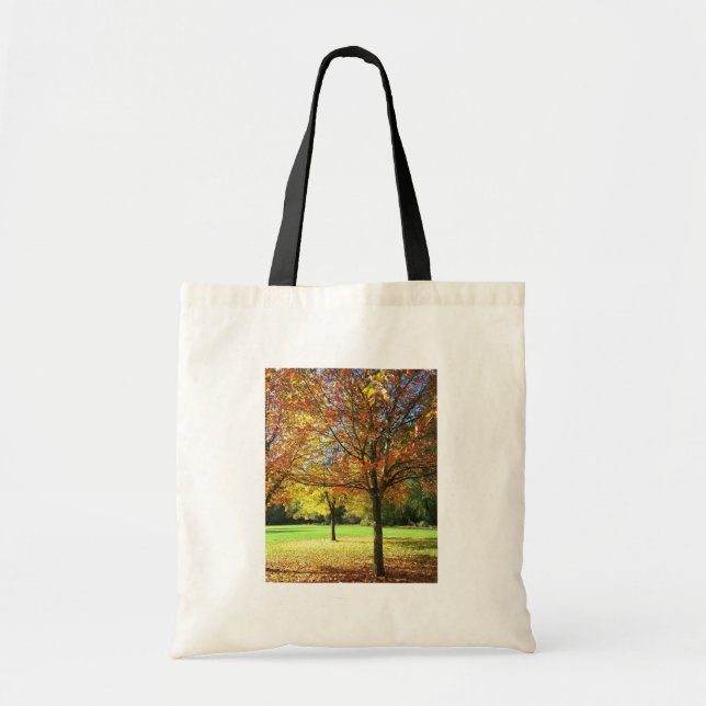 Colourful Autumn Trees Tote Bag (Front)