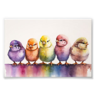 Colourful Baby Chicks, Baby Room, Baby Shower Photo Print