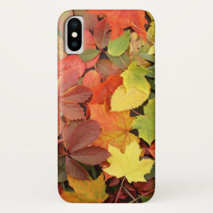 Colourful Background Of Fallen Autumn Leaves iPhone X Case