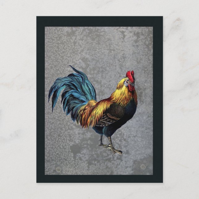 Colourful Bantam Rooster Postcard (Front)
