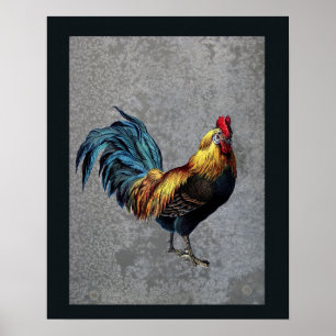 Colourful Bantam Rooster Poster