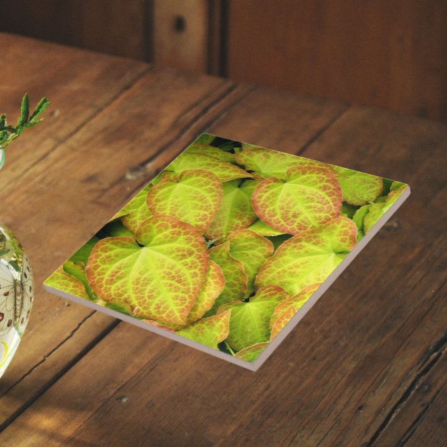 Colourful Barrenwort Plant Leaves Floral Ceramic Tile (In Situ)