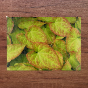 Colourful Barrenwort Plant Leaves Floral Cutting Board
