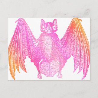 Colourful Bat Postcard
