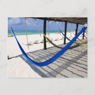Colourful Beach Hammocks Cozumel Mexico Postcard