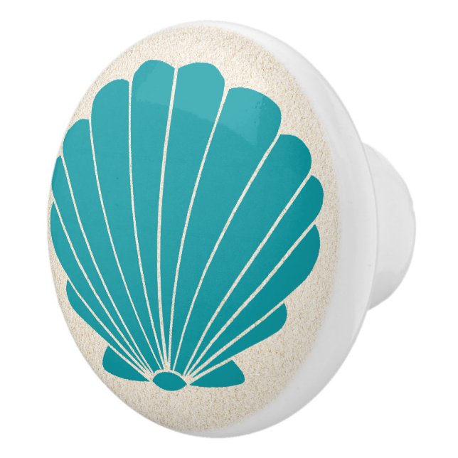 Colourful Beach Shell Scallop Drawer Knobs (Right)