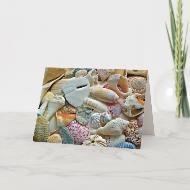 Colourful Beach Shells Blank Note Card (Front)