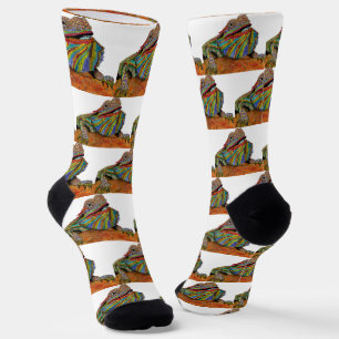 Colourful Bearded Dragon Socks 