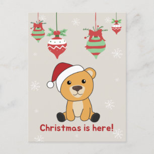 Colourful Bears Merry Christmas Winter Animals Bea Holiday Postcard