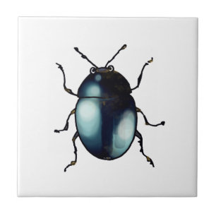 colourful beetle bug ceramic tile
