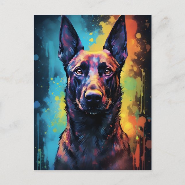 Colourful Belgian Malinois Postcard (Front)